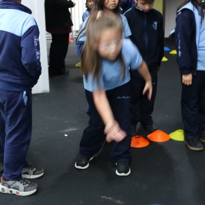 Día de la Actividad Física